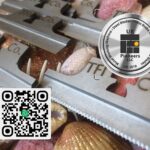Respected Tetra pack machine knives NYC USA TFI Co.,tfico, steel blades, california, atlanta, georgia, Maharashtra,Andhra Pradesh,Hyderabad,Baden-Wurttemberg, St Louis, Missouri, industrial knives uae, dubai machine blades, Belarus Knives, Belarus steel blades, Sharjah Industrial Knives,